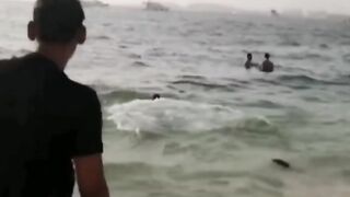 Dive in sae water