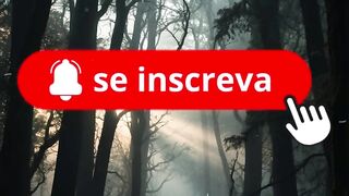 O Mistério da Floresta