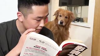 🐶📖 Title  When Your Dog Wants to Read Too! 😂