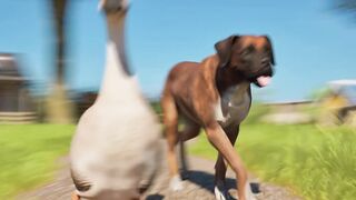 A GANSA QUE GUIA O CACHORRO! 🐕🪿