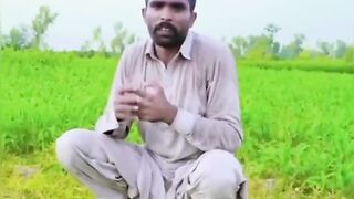 اپنا کوڑیکوٹ 4