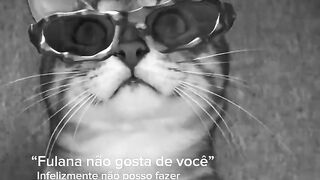 Vida boa
