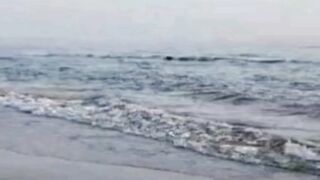 Early Morning walk at oman beach   Sea view Beautiful City