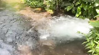 Objeto não identificado