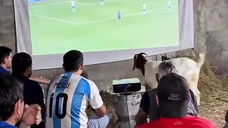 Os melhoras
