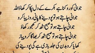 Hakeem Luqman
