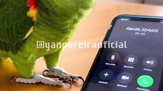 E vamos de trote 🤣🤣🤣🤣