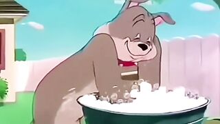 Tom Gets Replaced?! 😼💔 Intense Alley Cat Battle for Love | Tom & Jerry