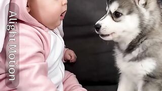 jara jara funny video United States America 64