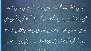 Habibi U Boss 2
