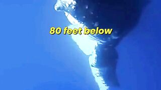 Ocean's Biggest Courtship Battle Revealed 🐋💙