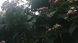 Mère nature