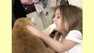 Gatos e crianças.
