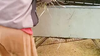 Alat perontok Padi