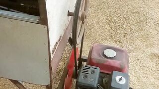 Power threaser Rice