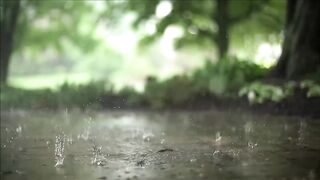 Beautiful Rainy Nature View 🌧️🍃 | Relaxing Rain Ambience