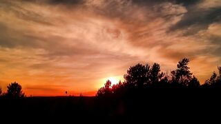 Golden Sunset Nature View 🌅 | Peaceful Evening Scenery