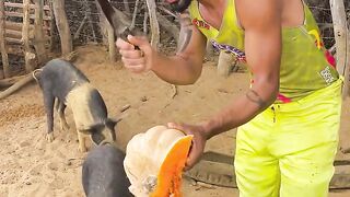 Fortunato cortando abóbora