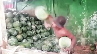 THE WATERMELON STACKING SKILL IS UNREAL* 😱