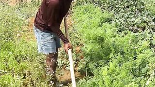 Trabalho na roça
