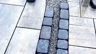story (227).mp4