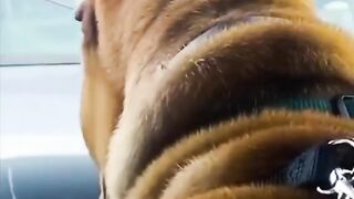 story (238).mp4