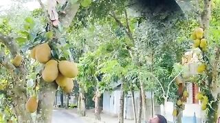 😂 Watch This Funny Video – You’ll Laugh Until Your Stomach Hurts! 🤣