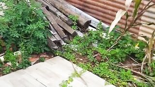 Dia de limpeza no quintal da da casa que vim morar