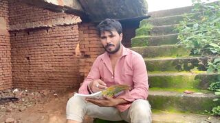 बंदर को केला के पत्ते में खाना चाहिए 🤪#funny #trending #funnypost #indiamemes