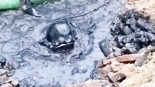 story (243).mp4