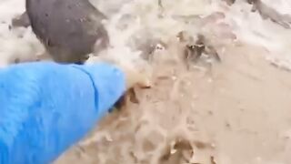 story (247).mp4