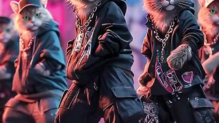 cat dance 4