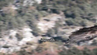 5 Animals With REAL Superpowers 🤯