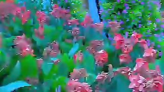 floral crown of dubai