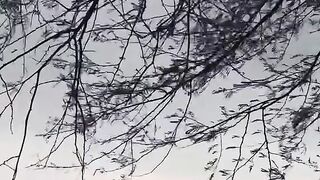 Amazing Satisfying & Relaxing Moments Compilation #Shorts