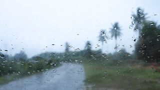 🌧️ Relaxing Rain Sounds for Deep Sleep, Stress Relief & Relaxation 🌙