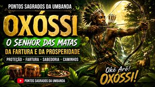 O senhor das Matas