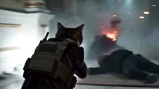 Mission Cat