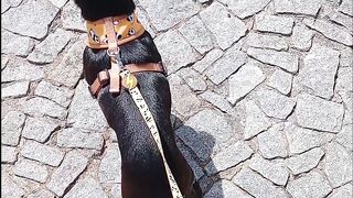 O nosso bebê Tobias em grande estilo