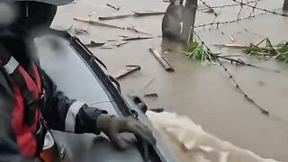 Homem salva macaco na enchente 🙏