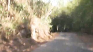 Nature Brasil
