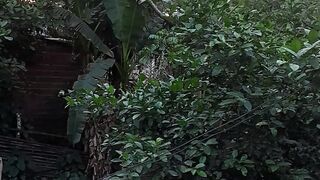 Nature in Brasil
