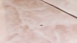story (316).mp4