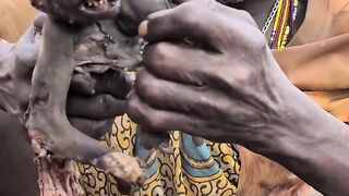 Unexpected Wildlife Encounter in the African Wilderness