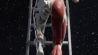 If the body were this way or that way #10