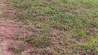 Os bairros da minha cidade