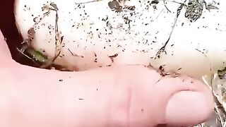 Crocodilo 3