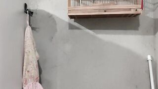 Esquenta coleiro