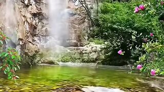 Belas paisagens