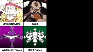 Pirate Crews and their Captains in One Piece